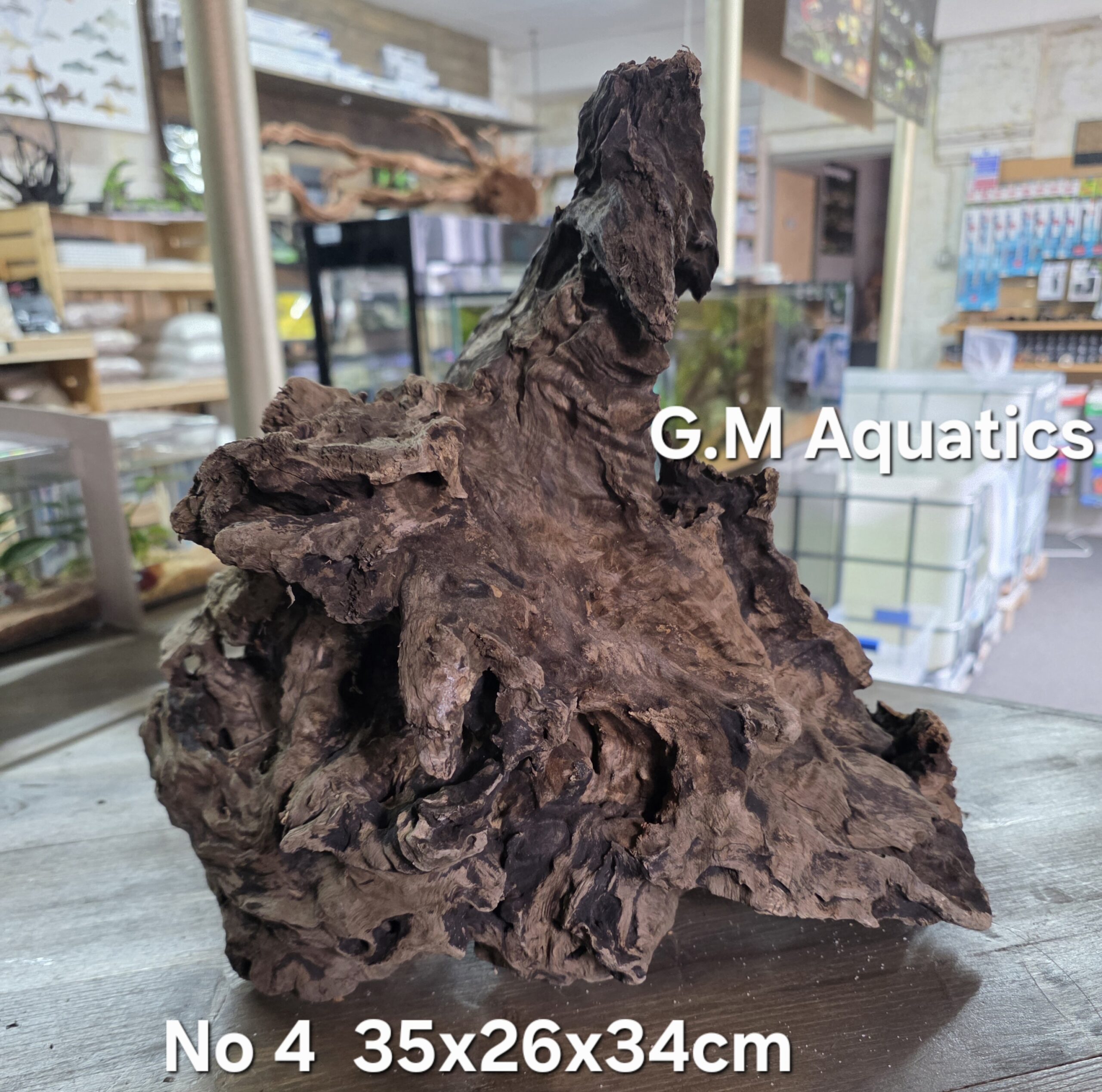 Bog wood / Basin wood No 4 35x26x34cm - Image 3
