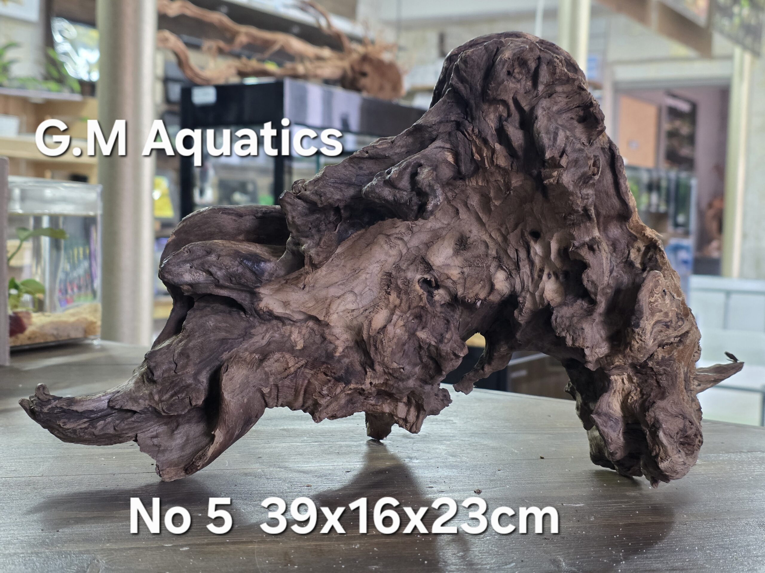 Bog wood / Basin wood No 5 39x16x23cm - Image 4