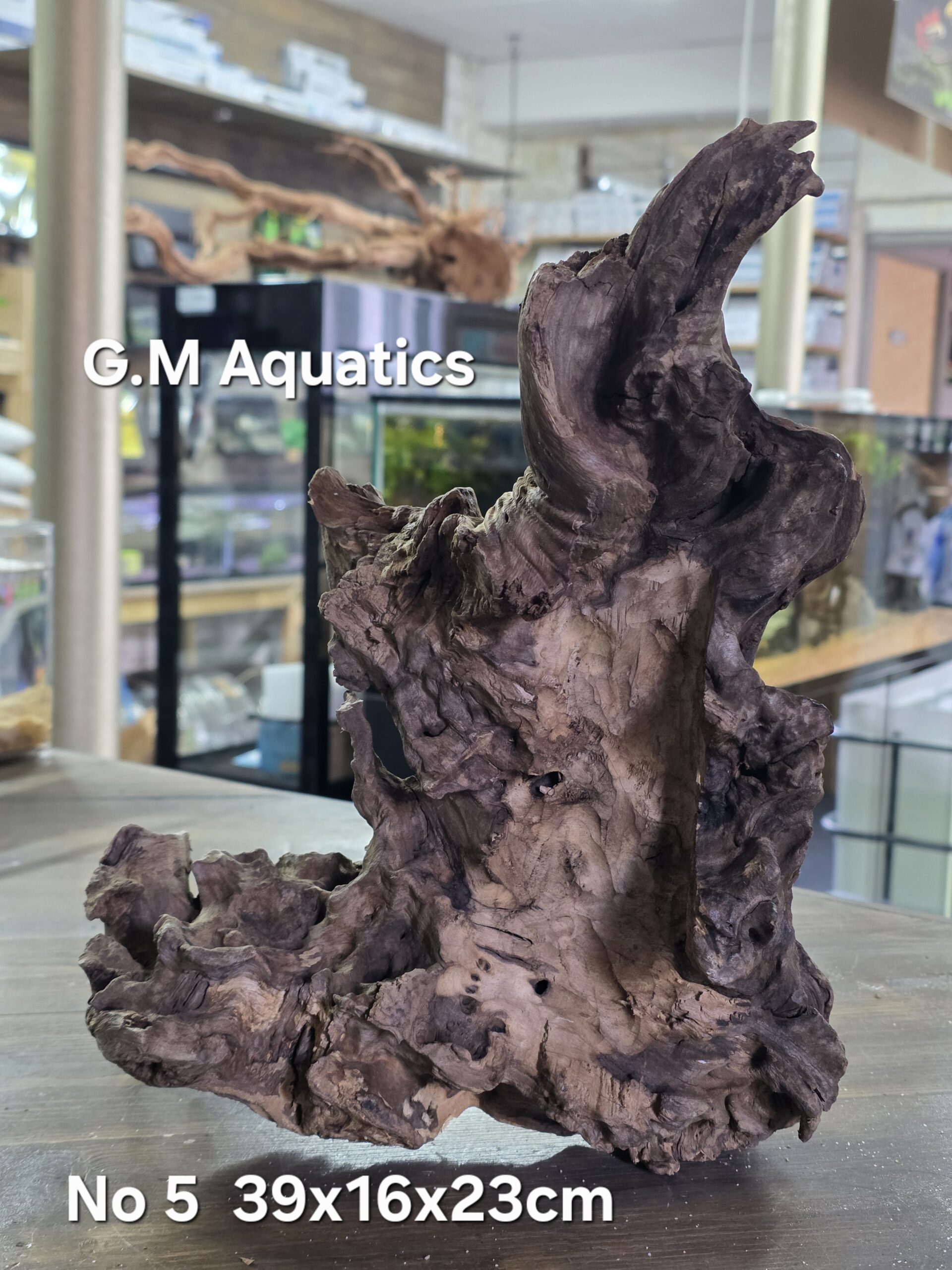 Bog wood / Basin wood No 5 39x16x23cm