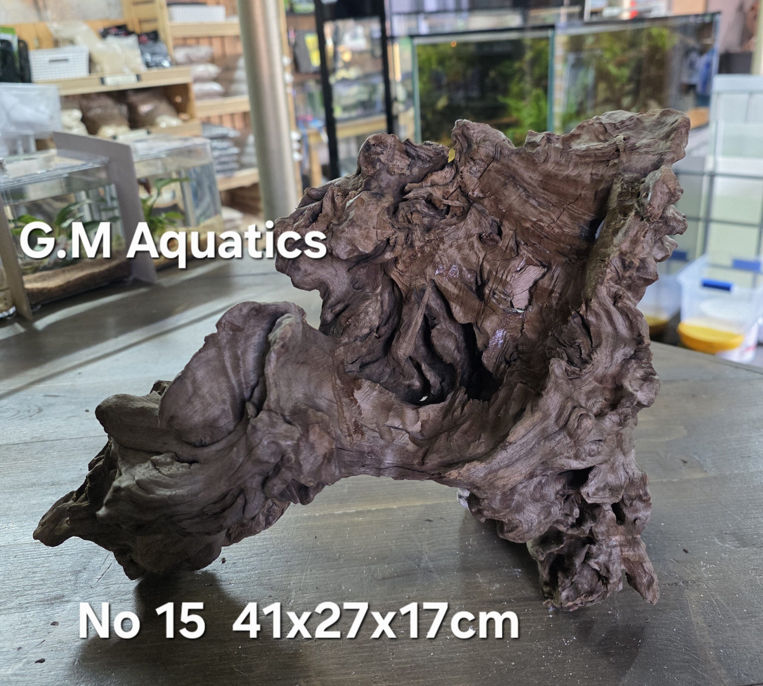 Bog wood / Basin wood No 15 41x27x17cm