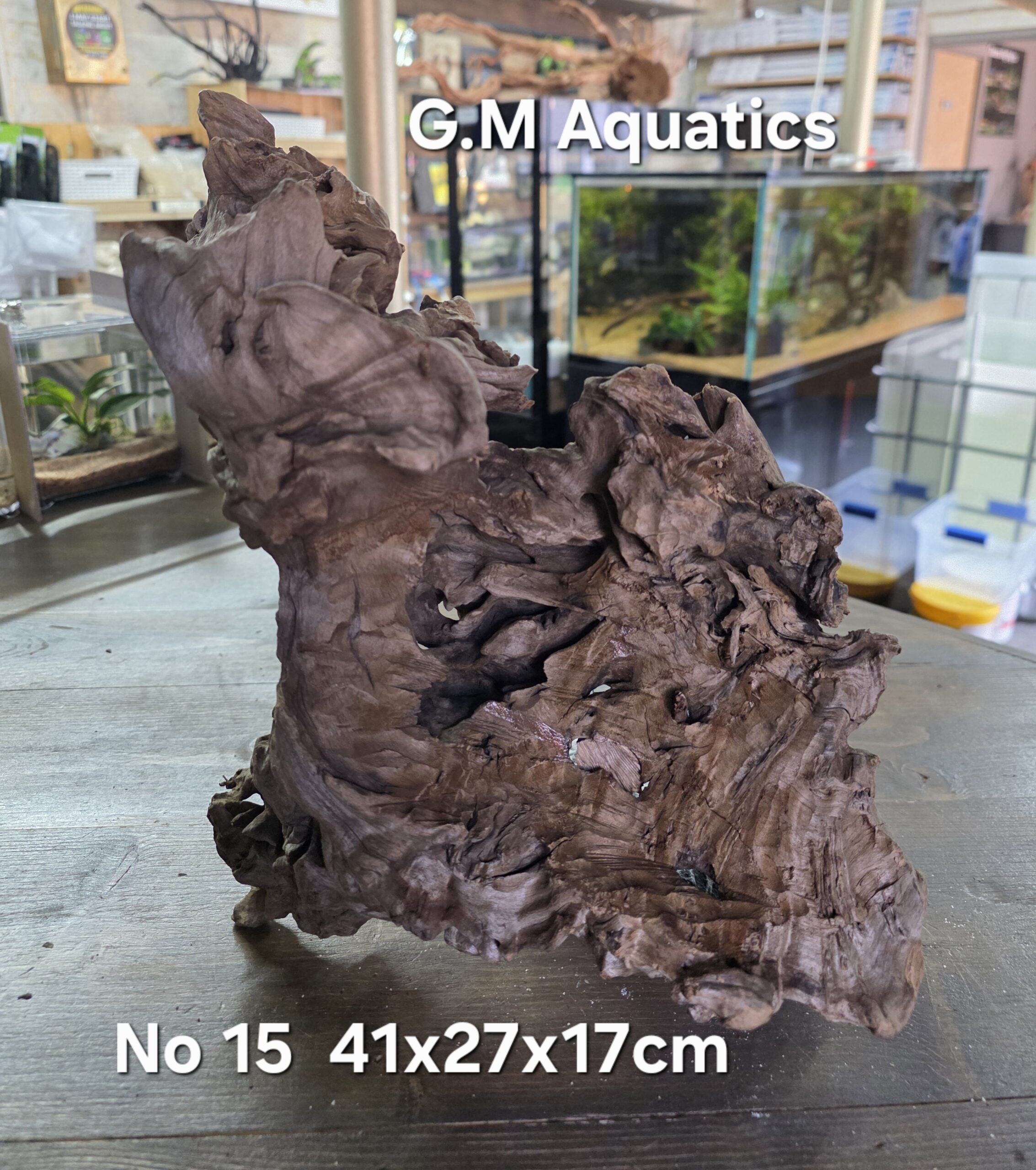 Bog wood / Basin wood No 15 41x27x17cm - Image 3