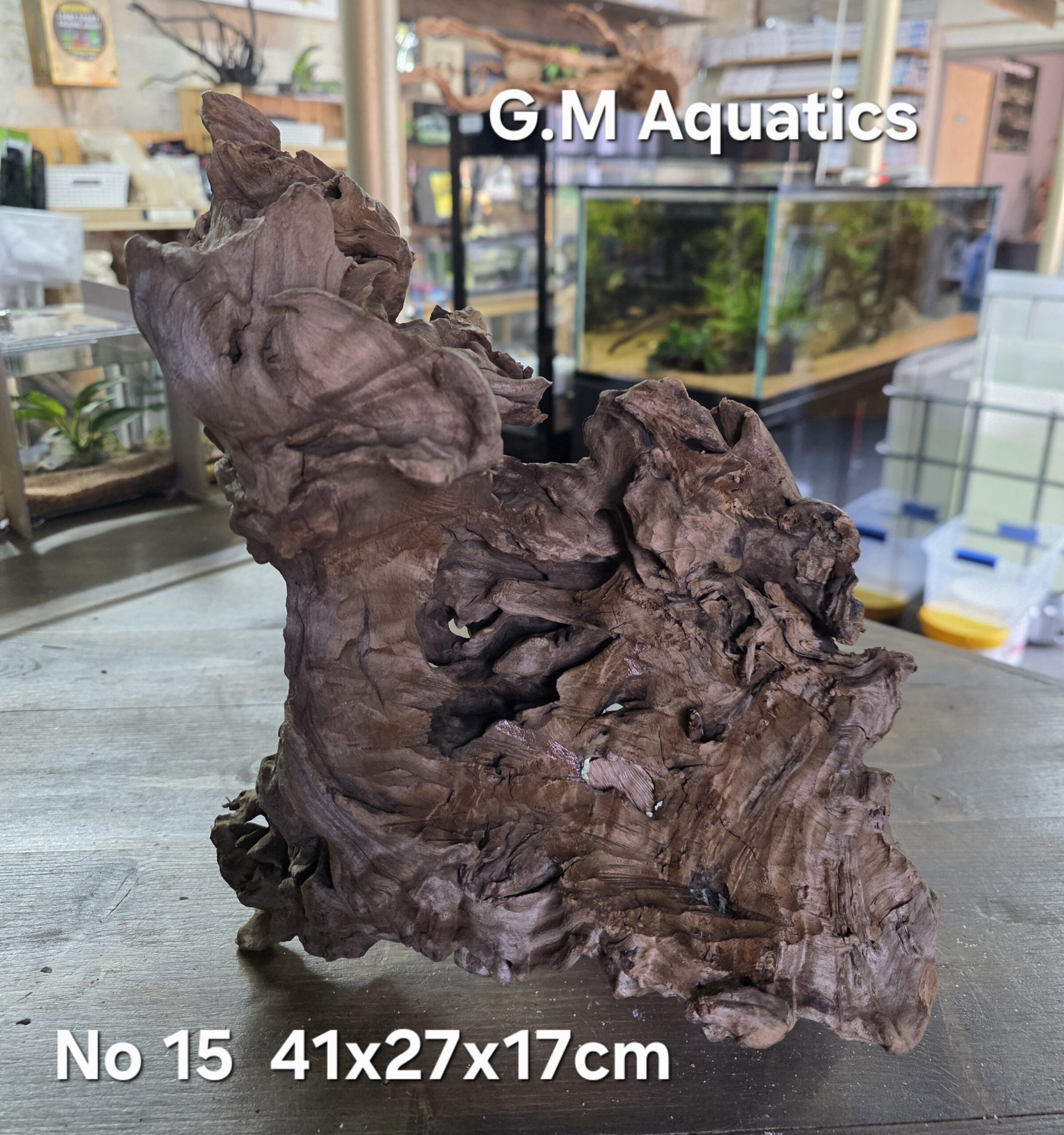Bog wood / Basin wood No 15 41x27x17cm - Image 2