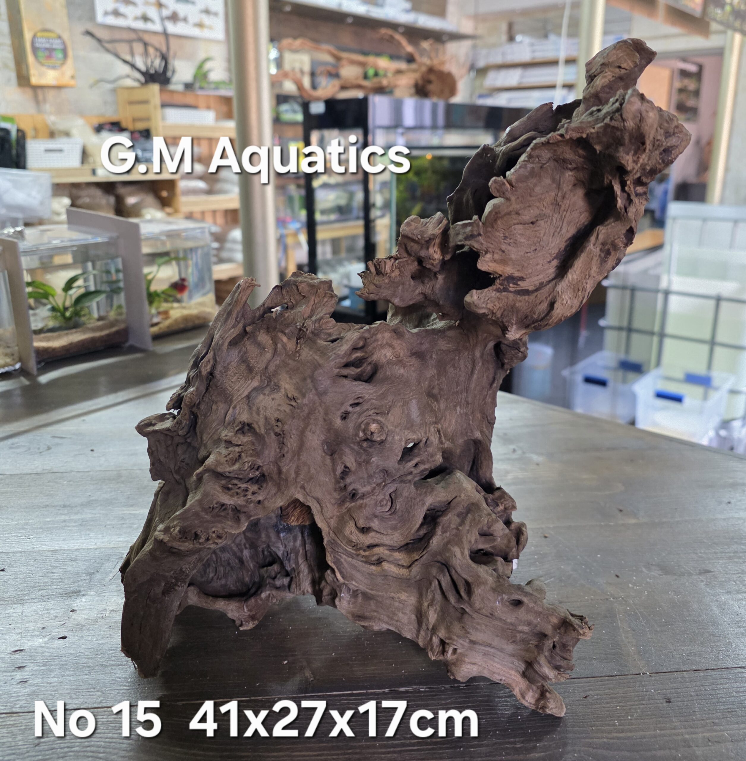 Bog wood / Basin wood No 15 41x27x17cm - Image 4