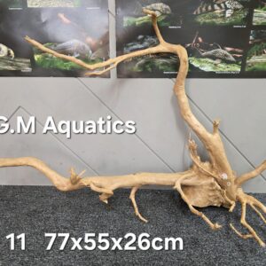 Red moor / Azalea wood  No 11  77x55x26cm