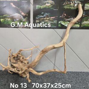 Red moor / Azalea wood  No 13  70x37x25cm
