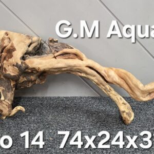 Red moor / Azalea wood  No 14  74x24x31cm