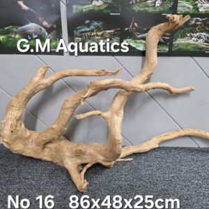 Red moor / Azalea wood  No 16  86x48x25cm