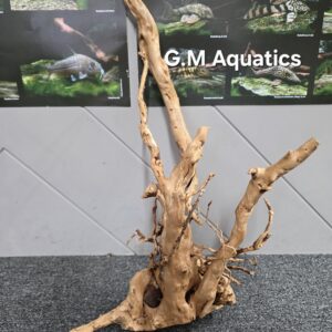 Red moor / Azalea wood  No 17  58x47x32cm