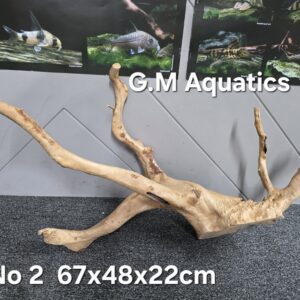 Red moor / Azalea wood  No 2  67x48x22cm
