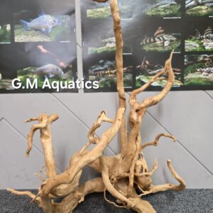 Red moor / Azalea wood  No 20  49x61x33cm