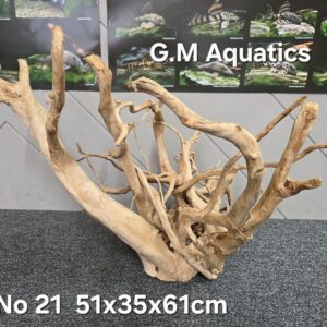 Red moor / Azalea wood  No 21  51x35x61cm
