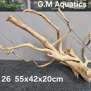 Red moor / Azalea wood  No 26  55x42x20cm