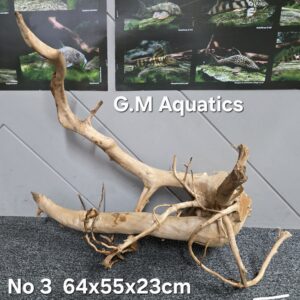 Red moor / Azalea wood  No 3   64x55x23cm