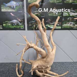 Red moor / Azalea wood  No 4  75x47x27cm