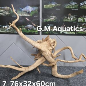 Red moor / Azalea wood  No 7   76x32x60cm