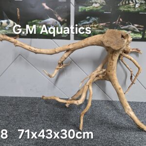 Red moor / Azalea wood  No 8   71x43x30cm