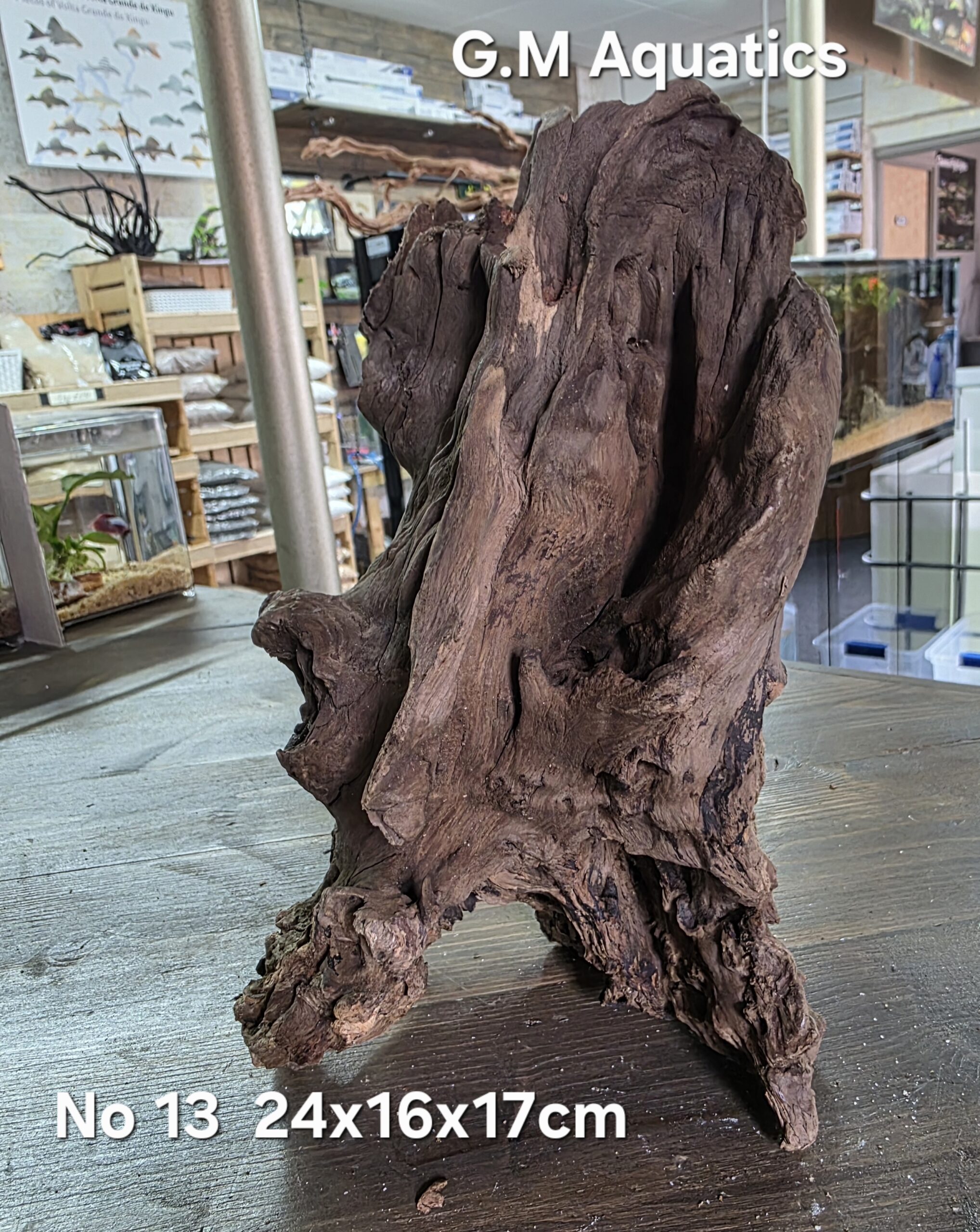 Bog wood / Basin wood No 13 24x16x17cm