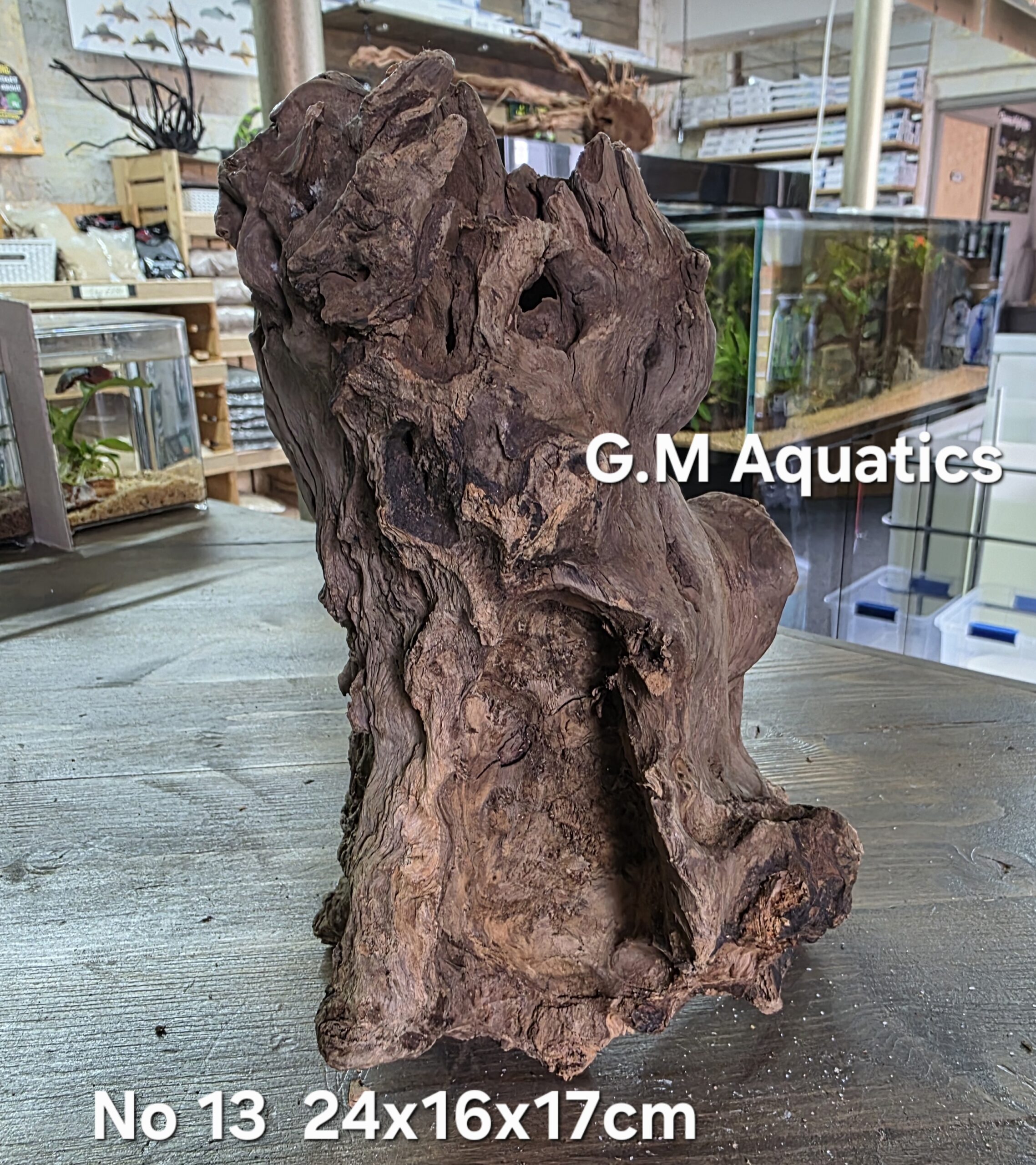 Bog wood / Basin wood No 13 24x16x17cm - Image 3