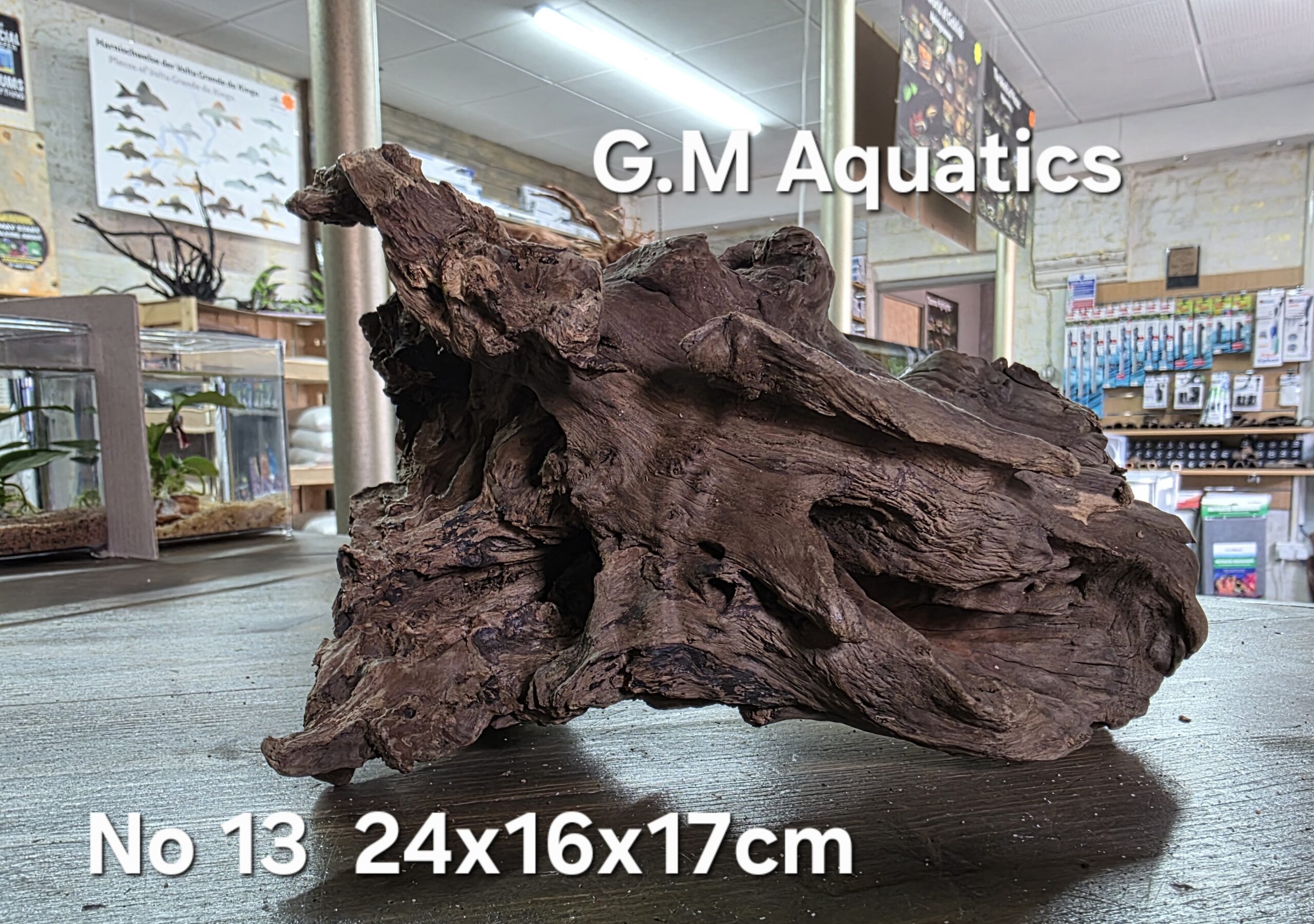 Bog wood / Basin wood No 13 24x16x17cm - Image 4