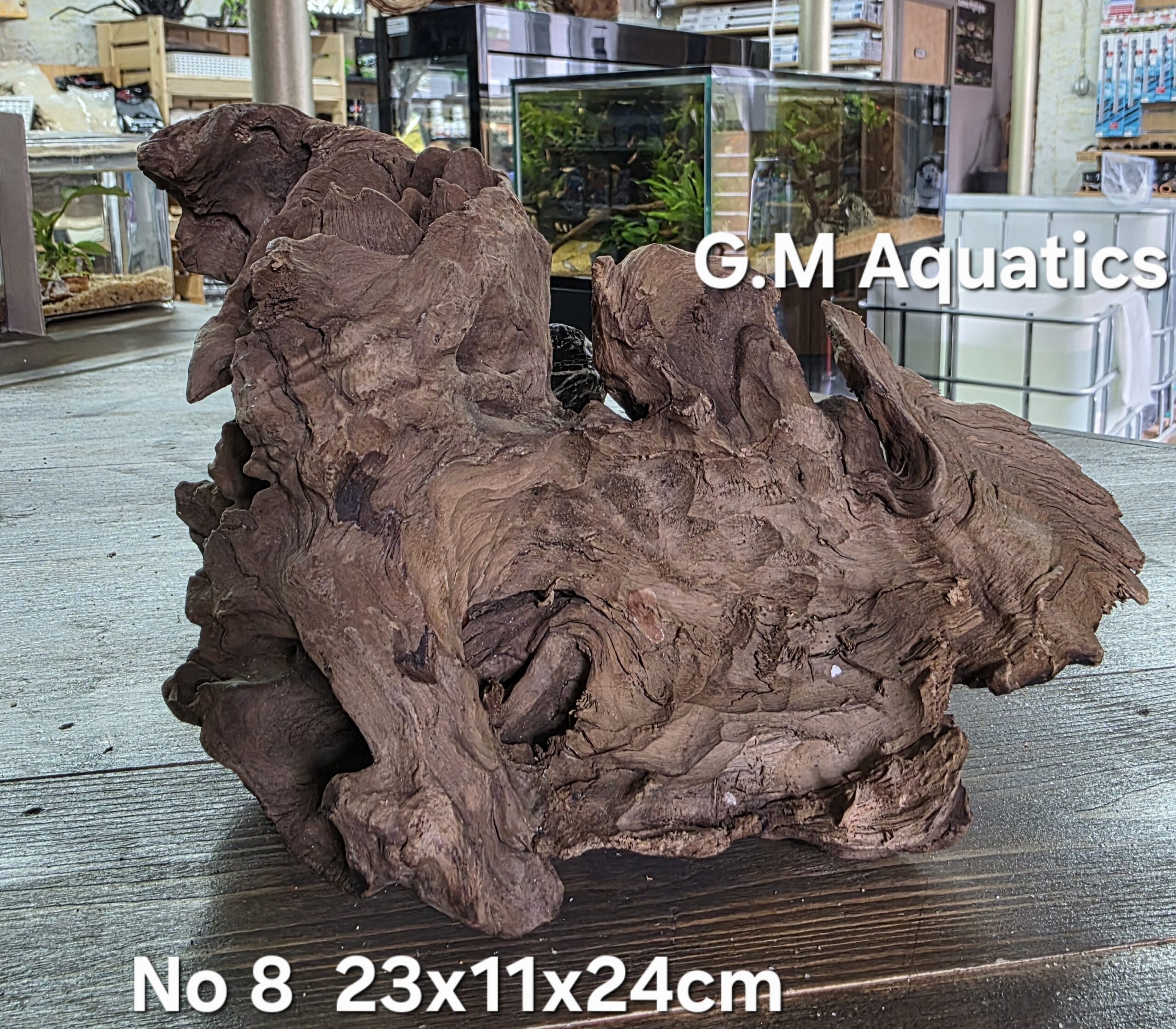 Bog wood / Basin wood No 8 23x11x24cm - Image 4