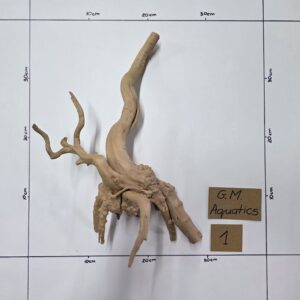 Small Spider / Slim wood No 1