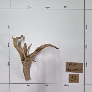 Small Spider / Slim wood No 13