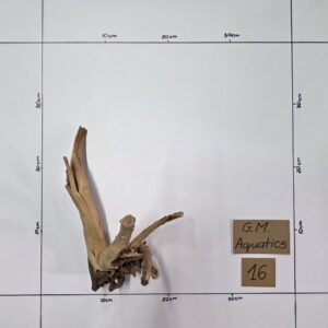 Small Spider / Slim wood No 16
