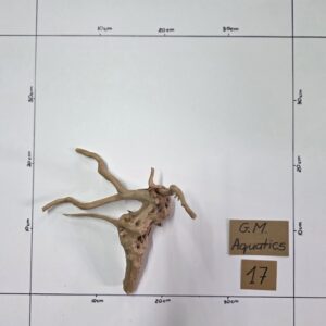 Small Spider / Slim wood No 17