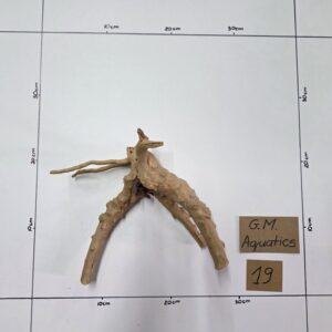 Small Spider / Slim wood No 19