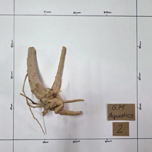 Small Spider / Slim wood No 2