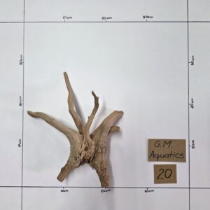 Small Spider / Slim wood No 20