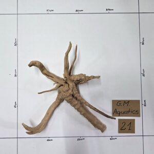 Small Spider / Slim wood No 21