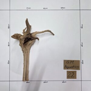 Small Spider / Slim wood No 22