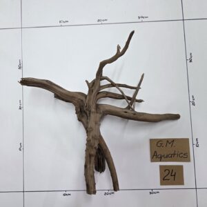 Small Spider / Slim wood No 24