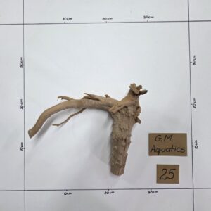 Small Spider / Slim wood No 25