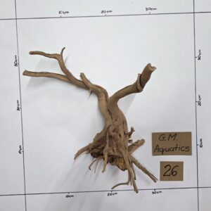 Small Spider / Slim wood No 26