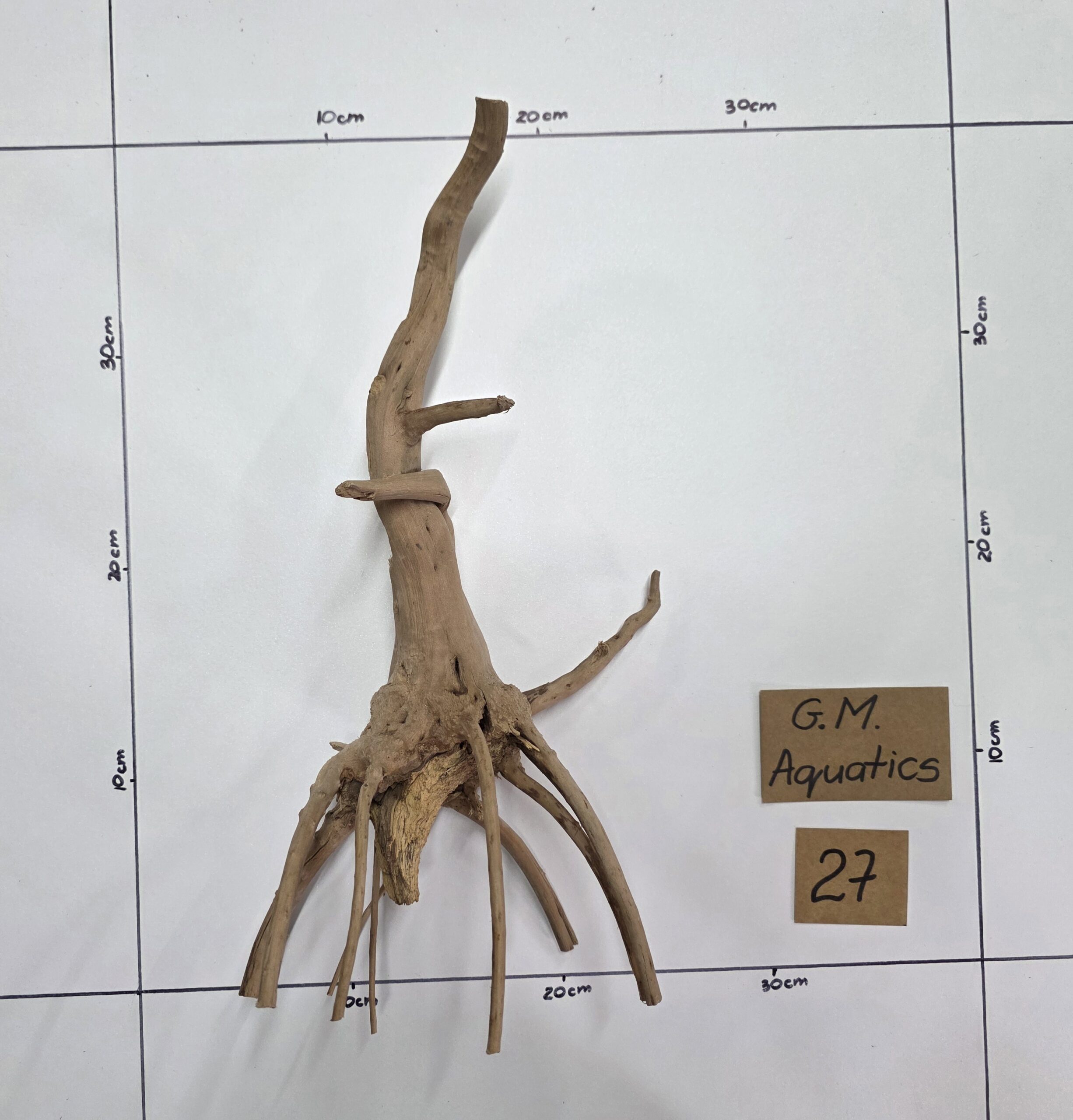 Small Spider / Slim wood No 27