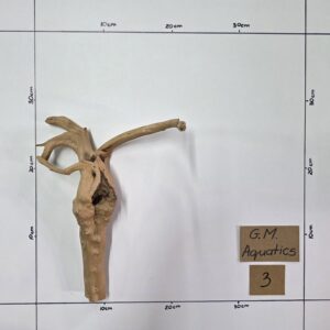 Small Spider / Slim wood No 3