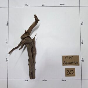 Small Spider / Slim wood  No 30