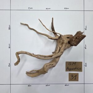 Small Spider / Slim wood  No 31