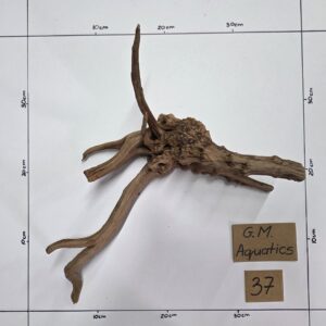 Small Spider / Slim wood  No 37