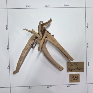 Small Spider / Slim wood  No 38