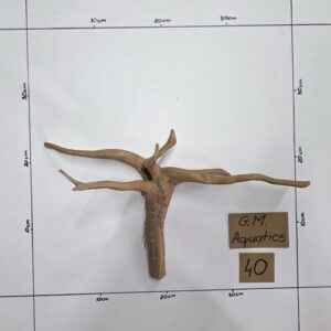 Small Spider / Slim wood  No 40