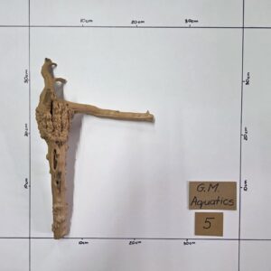 Small Spider / Slim wood No 5