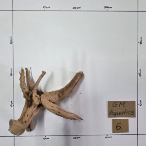 Small Spider / Slim wood No 6