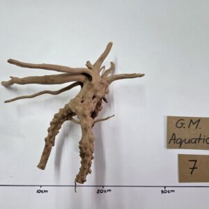 Small Spider / Slim wood No 7