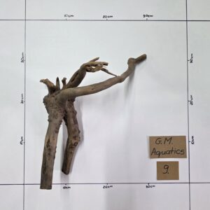 Small Spider / Slim wood No 9
