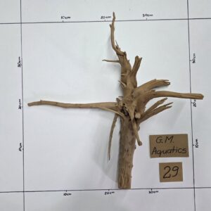 Small Spider / Slim wood  No 29