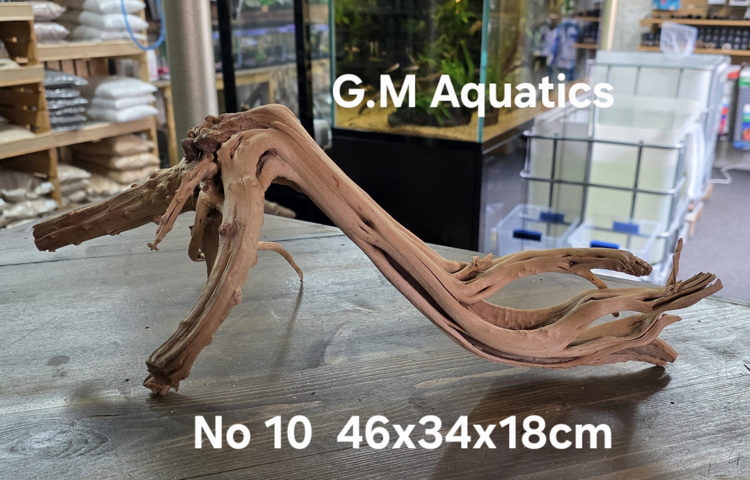 Spider / Slim wood No 10 46x34x18cm - Image 3
