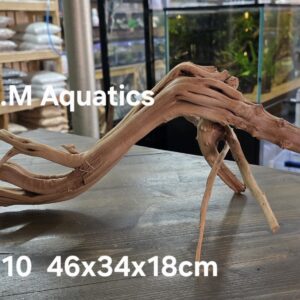 Spider / Slim wood No 10 46x34x18cm